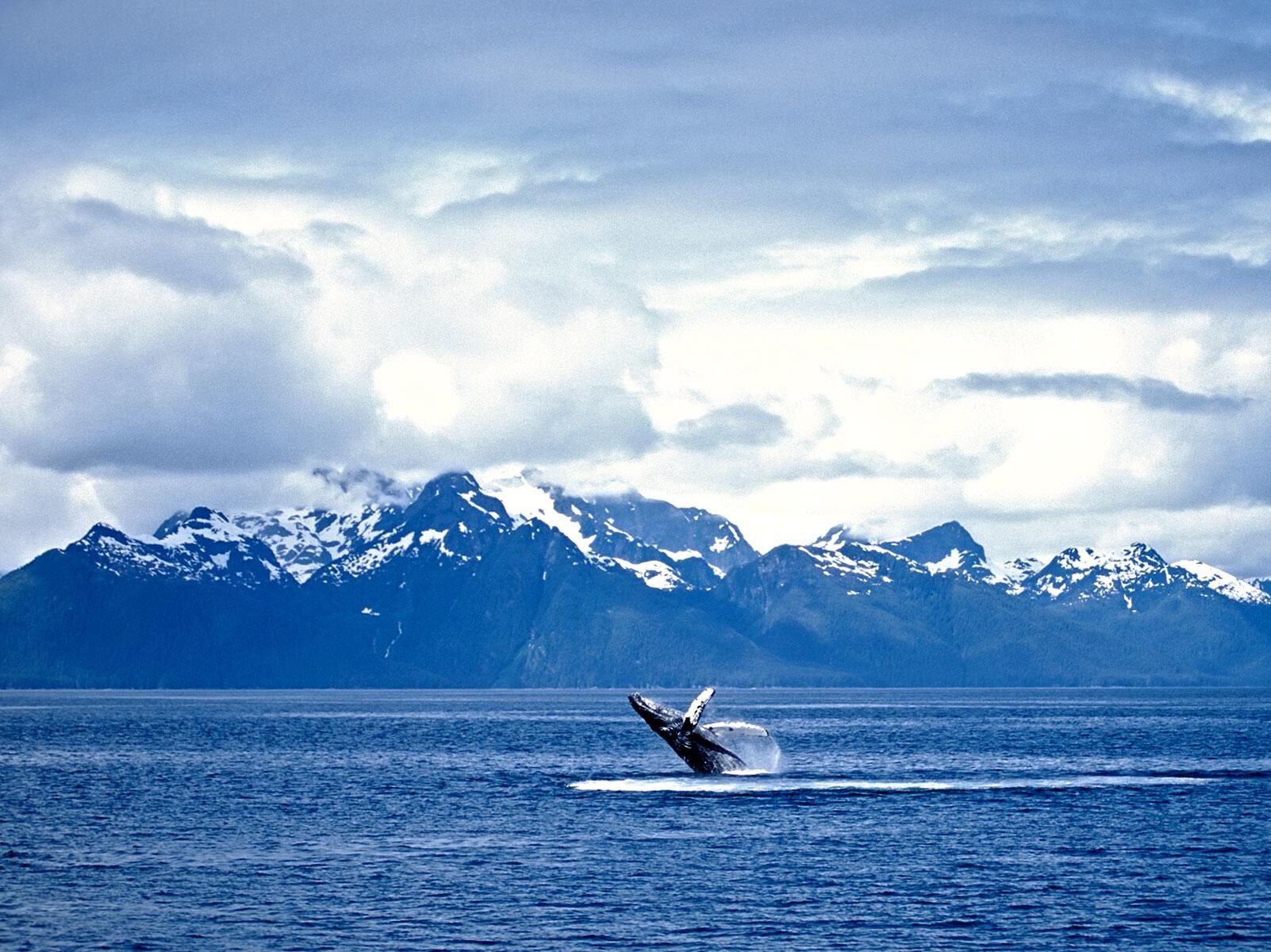Top 10 Must-Have Photos on Your Alaskan Cruise